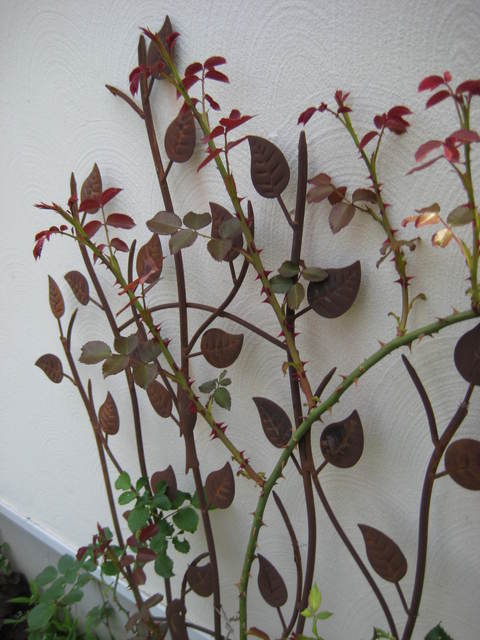 f0061334_073321.jpg