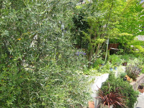 f0061334_074032.jpg