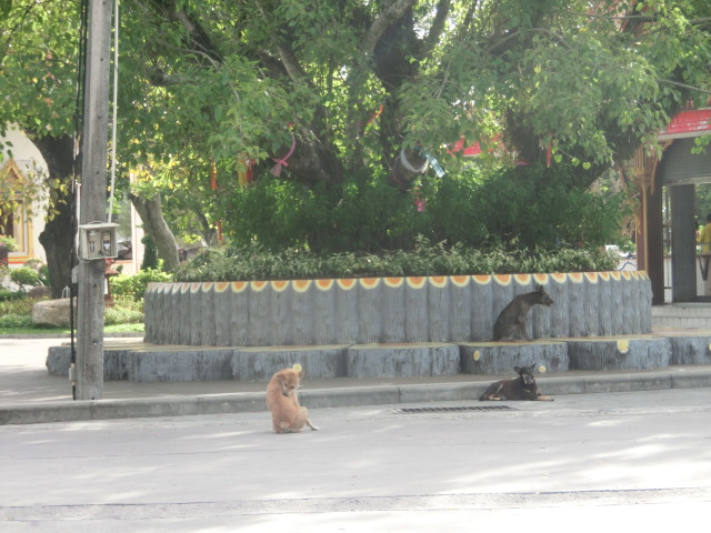 f0001835_13424696.jpg