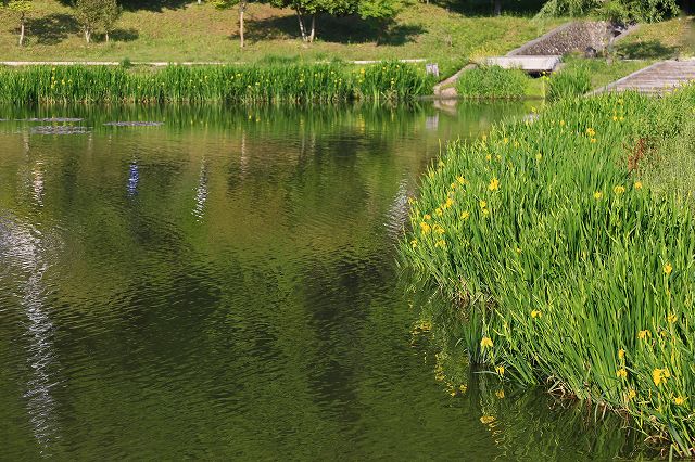 a0242438_19372351.jpg