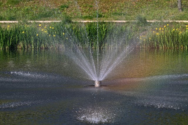 a0242438_1937375.jpg