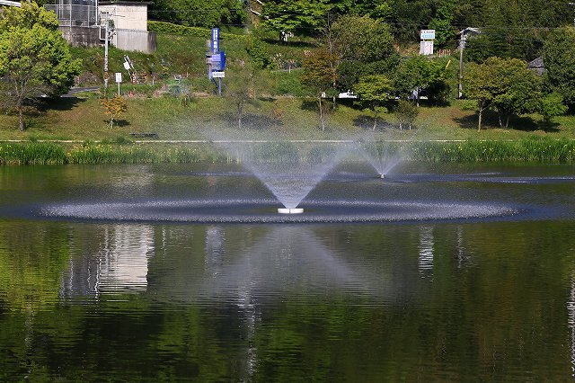 a0242438_19395070.jpg