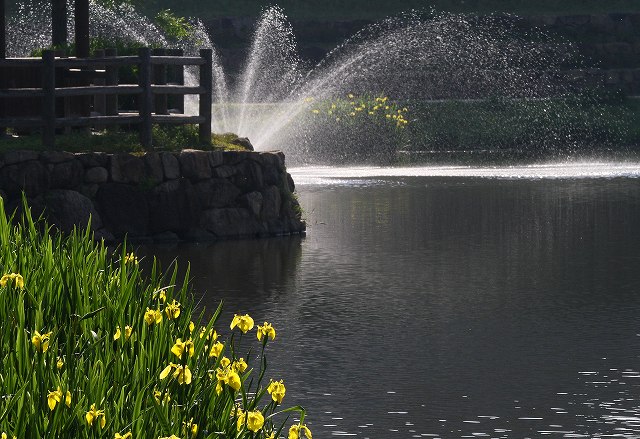 a0242438_19402938.jpg