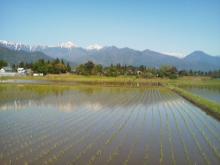 a0272241_21522100.jpg