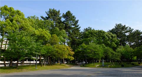 a0100742_1515928.jpg