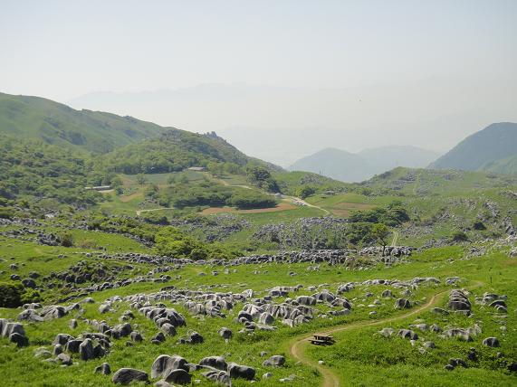 e0164643_133126.jpg