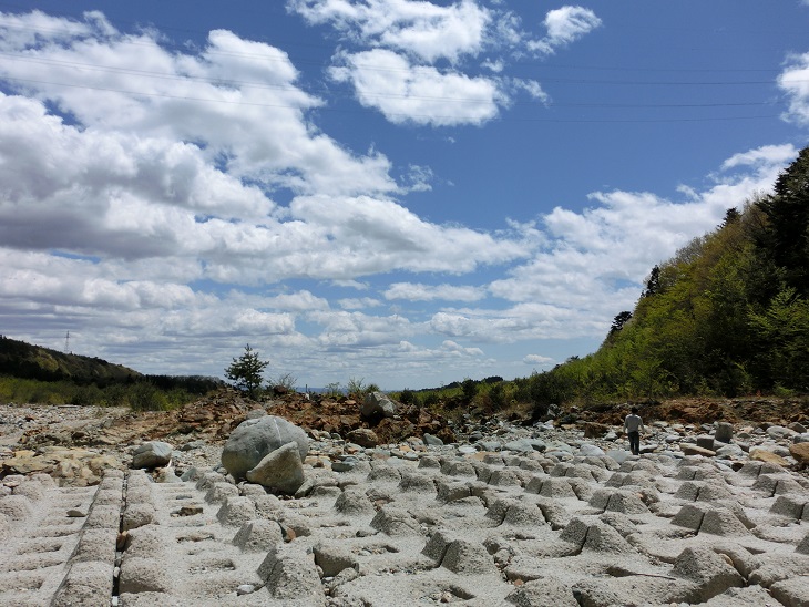 c0156345_12132633.jpg