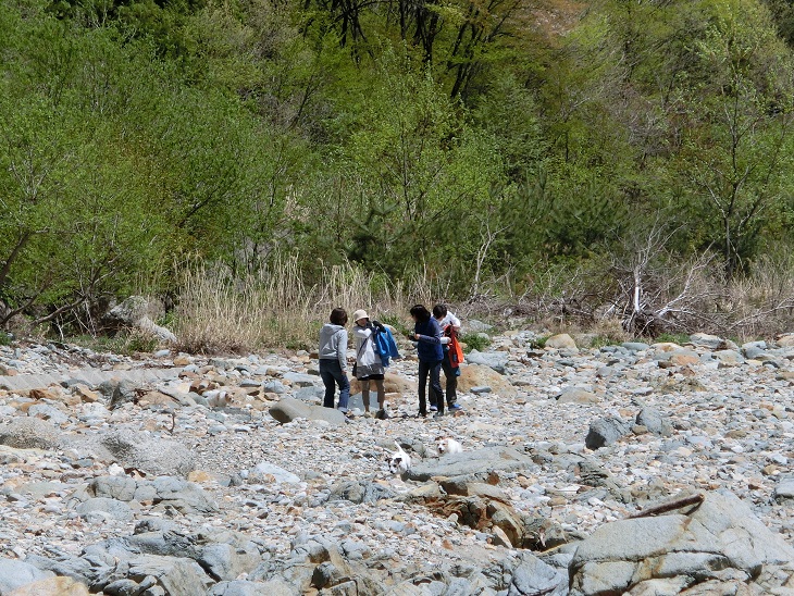 c0156345_12134974.jpg