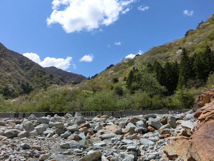 c0156345_12223182.jpg
