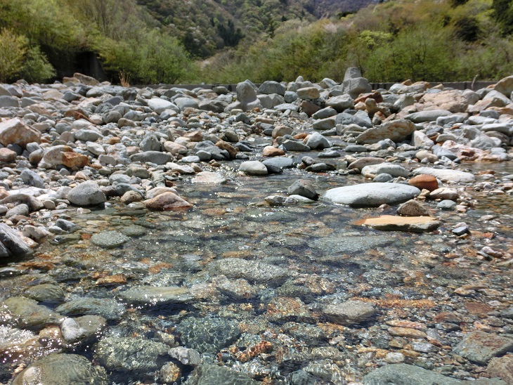 c0156345_1222394.jpg