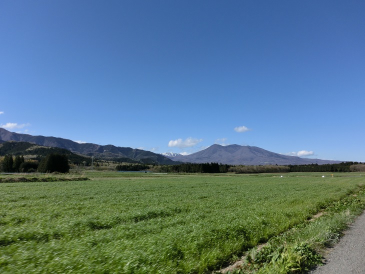c0156345_12235864.jpg