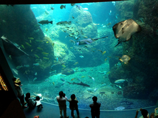 f0179947_0165985.jpg