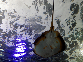 f0179947_0175389.jpg