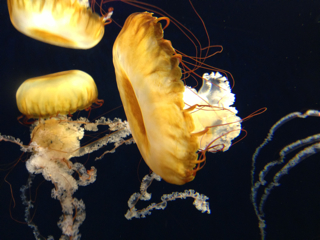 f0179947_0255691.jpg