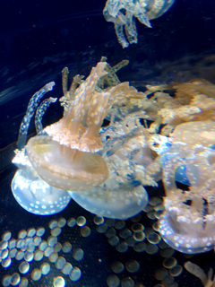 f0179947_0265195.jpg