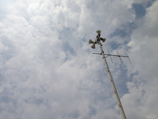 f0179947_09327.jpg