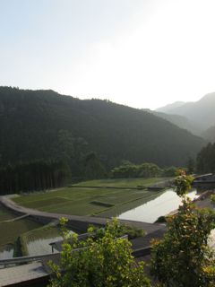 a0054948_1257942.jpg