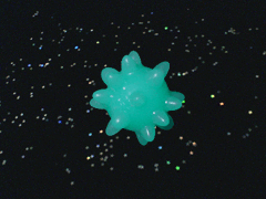 e0005548_22551795.gif