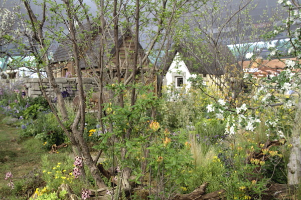 a0258549_23205319.jpg