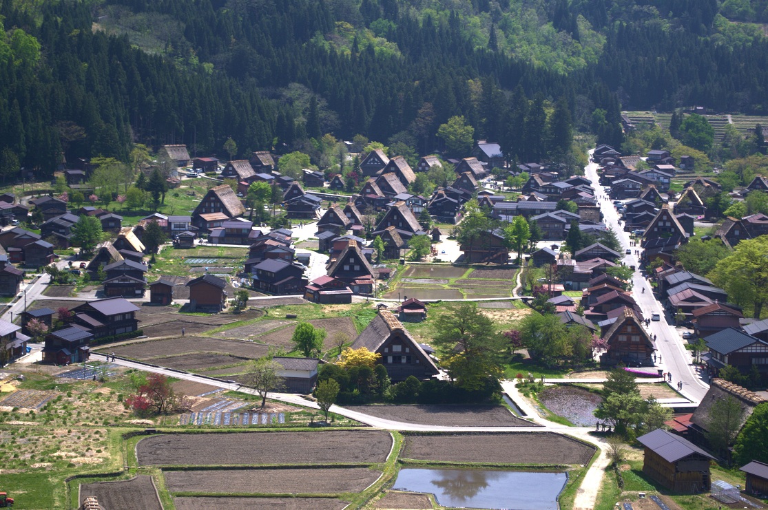 a0055650_8501185.jpg