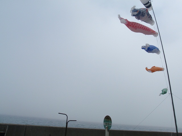 a0242657_0444745.jpg
