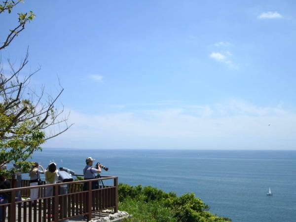 b0282061_7442071.jpg