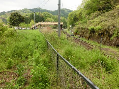 e0045768_2225437.jpg