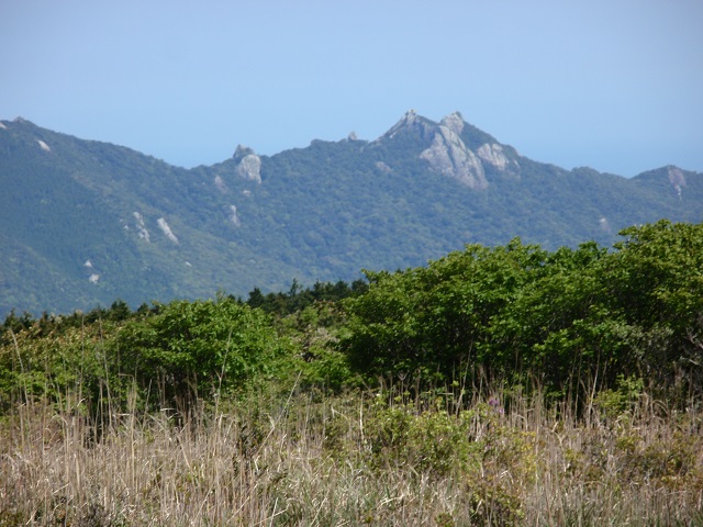 c0042869_55263.jpg