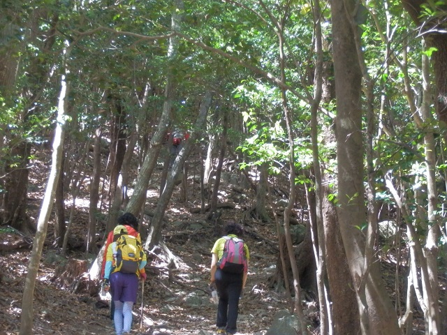 c0042869_664432.jpg