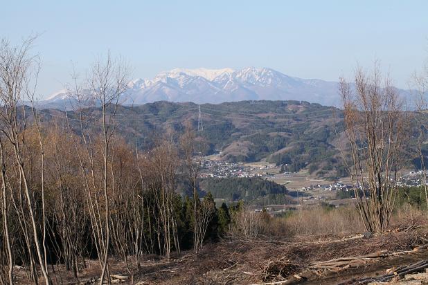 e0304170_20494073.jpg