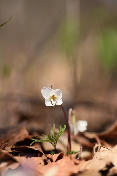 e0304170_20502787.jpg