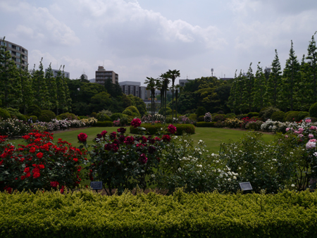 c0004078_953611.jpg