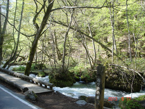 d0165378_8274351.jpg