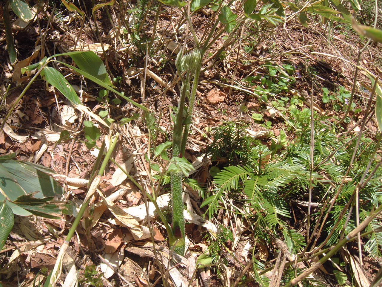 c0237780_11533562.jpg