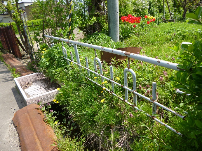 d0129083_15263759.jpg