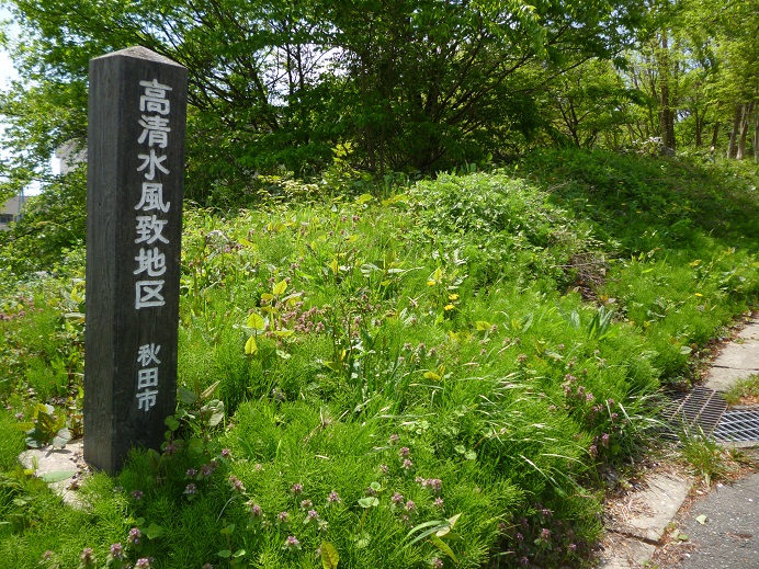 d0129083_1544955.jpg