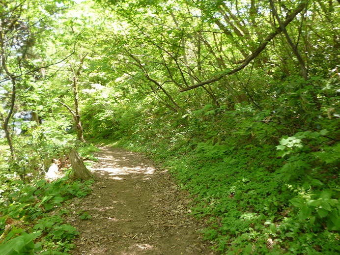 d0129083_15581051.jpg