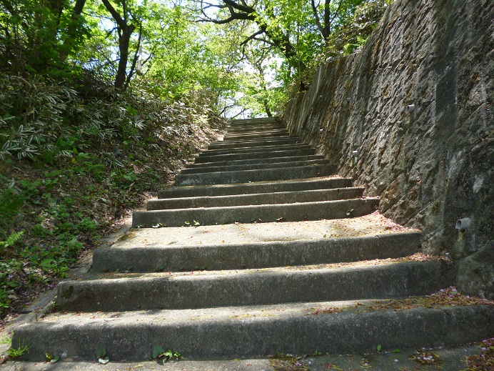 d0129083_1663950.jpg