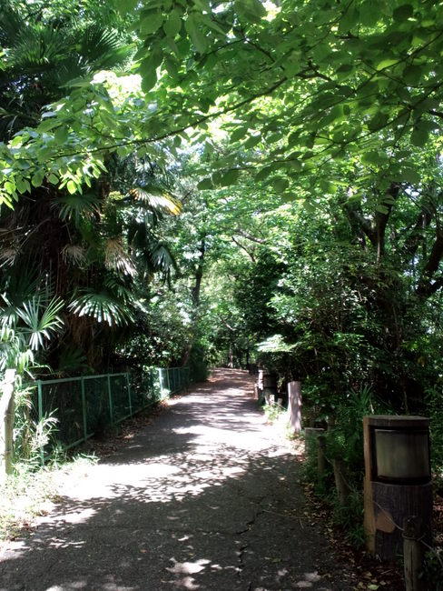 e0318883_11575639.jpg