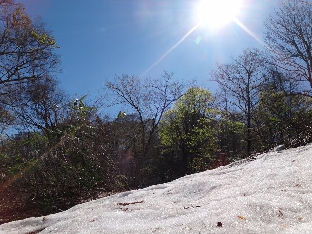f0125091_1223133.jpg