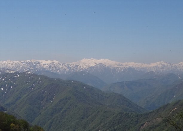 f0125091_124443.jpg