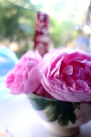 f0137694_17591878.jpg