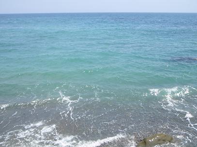 a0125598_20132731.jpg