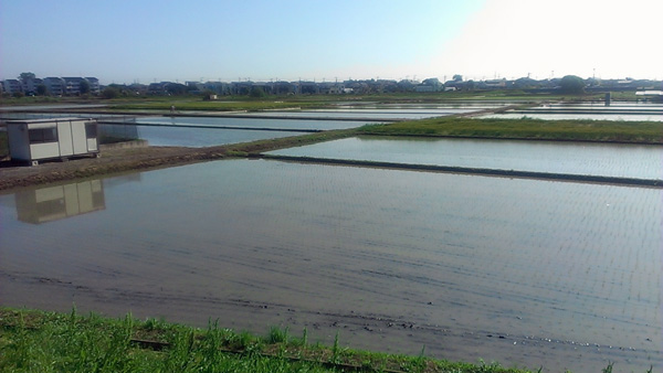 a0000006_0202560.jpg
