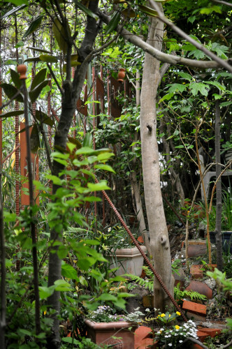f0188408_15534639.jpg