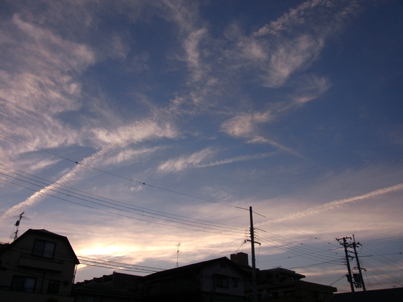e0083517_981478.jpg