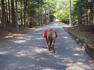 e0192217_12263326.jpg