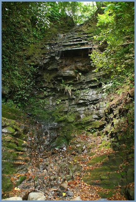 e0284019_9595597.jpg
