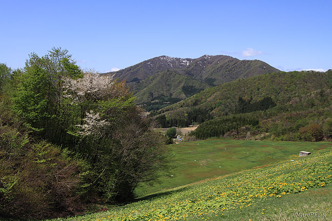 e0112722_21455783.jpg