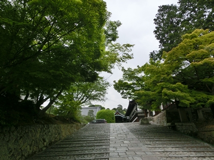 a0105023_14275595.jpg